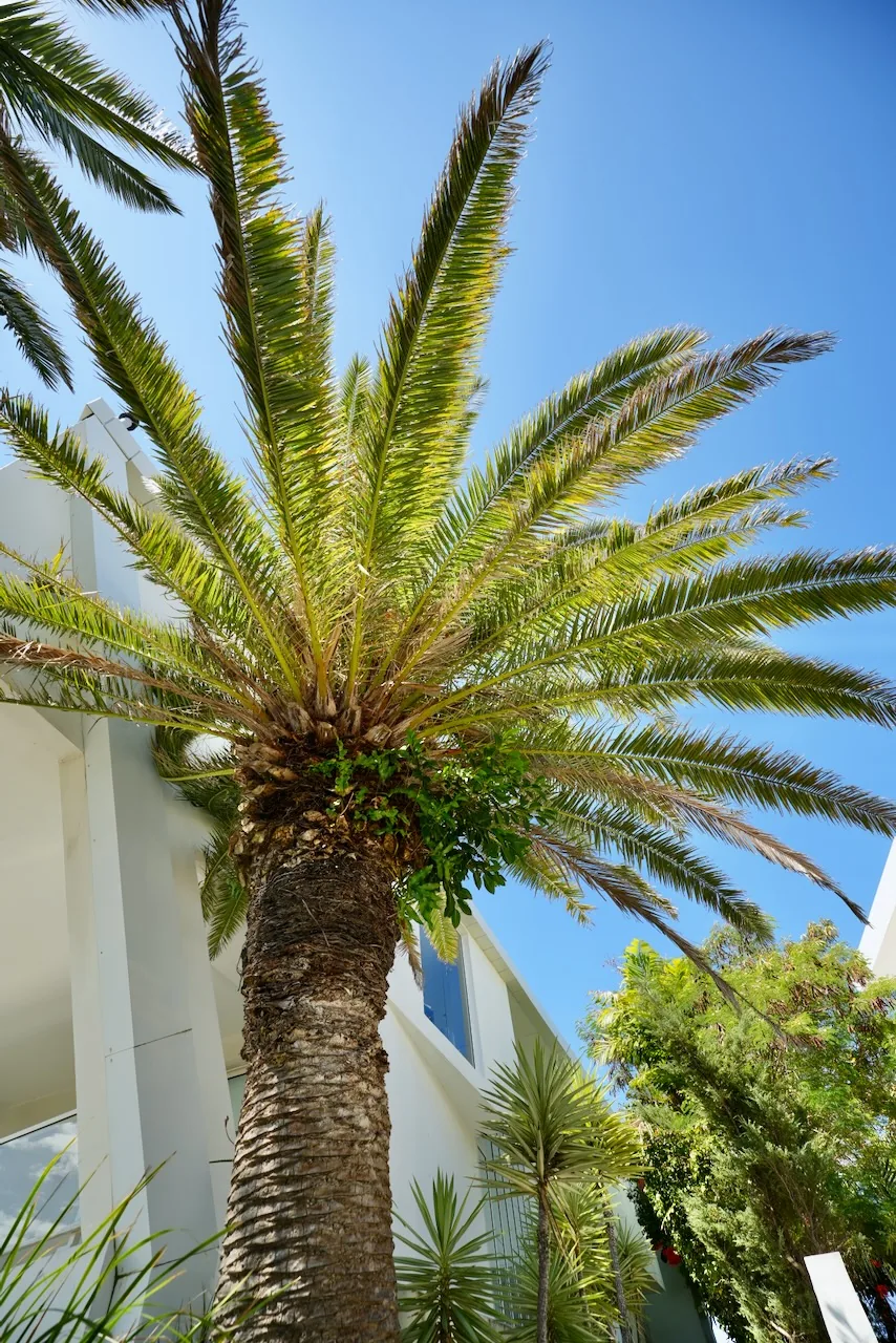 Photographie immobilier architecture Nouvelle-Calédonie Agence GBE — photo 09